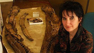 Mandíbula do pliossauro, mostrada por Judyth Sassoon, da Universidade de Bristol (Foto: Simon Powell)