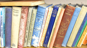 Beth mae'r silff hon yn ei ddweud am ei pherchennog?