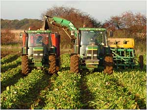 Abbey Farm (Image: Farm c/o Abbey Farm Organics)