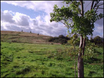 Ifton Meadows