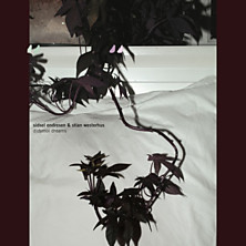 Review of Didymoi Dreams