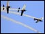 The Blades formation display team