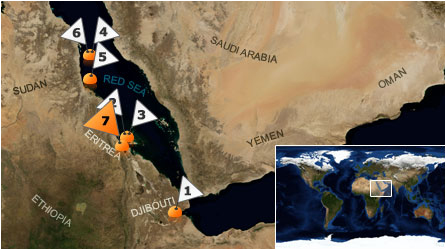 Dive map - Red Sea - Site 7