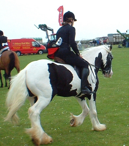 Charlie at The Sanday Show 2007. Charlie at The Sanday Show 2007.