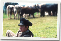 Golygfa allan o'r ffilm Drover's Gold