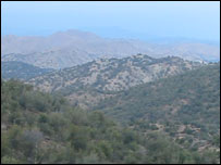 وزيرستان