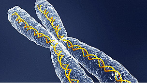 DNA | Cr´dito da foto: BBC