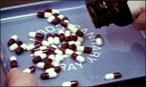 Odklady podpisu měly za následek smrt mnoha lidí