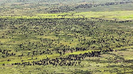 Nature's Great Events