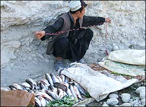 عکس از همايون محسن پور