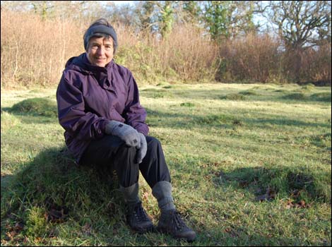 Rambler Mary Henry on ant hill