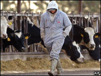 Fazenda americana onde estava a vaca infectada com BSE