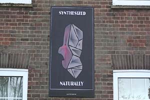 Julie is an artist from Bedfordshire. In this film she talks about how her work is inspired by both technology and the world around her. 