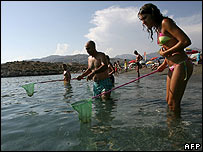 Catadores de águas-vivas em praias no sul da Espanha
