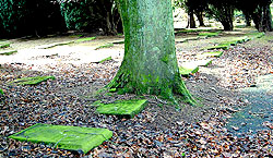 the horizontal headstones of Gracehill
