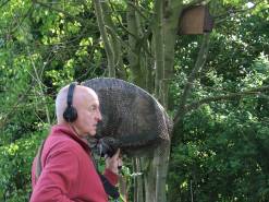 Chris Watson recording Tree Sparrows at the Blacktoft Sands RSBP reserve