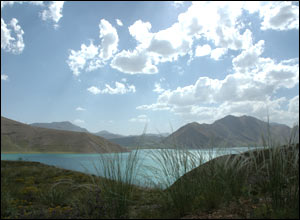 عکس از محسن سروش