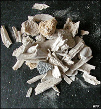 巨石阵发现的遗骨