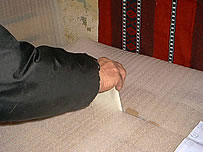 Senatul şi Camera decid marţi când va avea loc referendumul