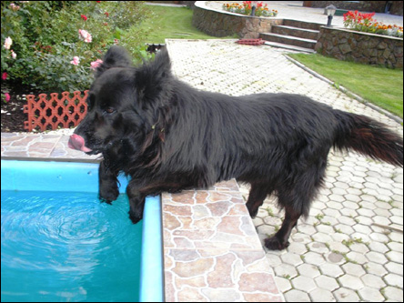 Фото Олега Таткова