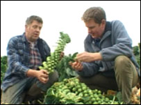 Man holding a bunch of sprouts