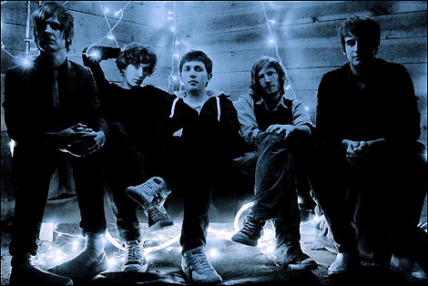 Fox Cubs (C) Nathan Jerome