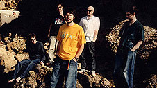 The Super Furry Animals