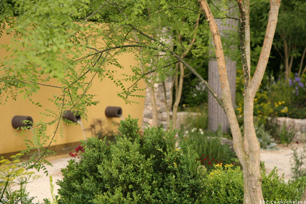 The Daily Telegraph Garden at Chelsea 2011