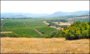 The Russian attack route