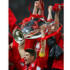 May: Liverpool Wins the European Cup