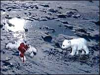 Knut em site de jogos