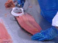 salmon slicing