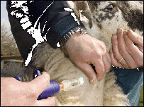 دڅارويوواکسين