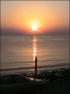 عکس از فرشاد