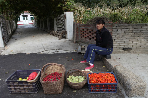 Selling produce by the roadside