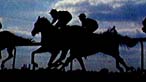Horse racing