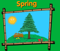 Spring evergreen tree