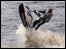 A jetski jumper