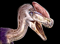 گوانلانگ ووچای