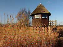 Hickling Broad hide