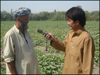 دخټکيو مچان