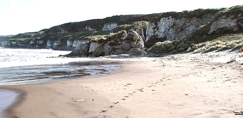 Photo of White Rocks, Portrush by Brian Willis.