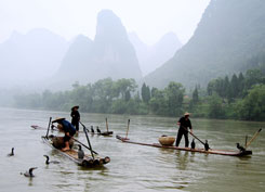 Cormorant fishermen ©BBC NHU