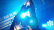 The Wombats