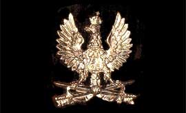 The Polish Eagle