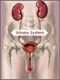بېواکه متيازې