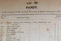 Manylion gwerthu Pandy yn y catlog