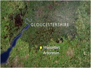 Westonbirt (Image: Map)