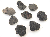 فسيل انجيرها (عکس از جاناتان ريف)