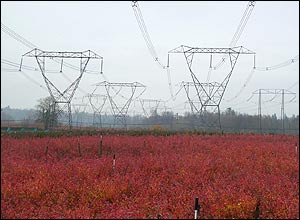 عکس از سامان معاونی